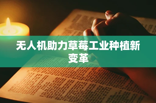 无人机助力草莓工业种植新变革