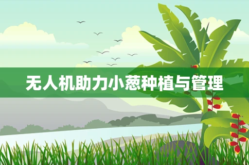 无人机助力小葱种植与管理