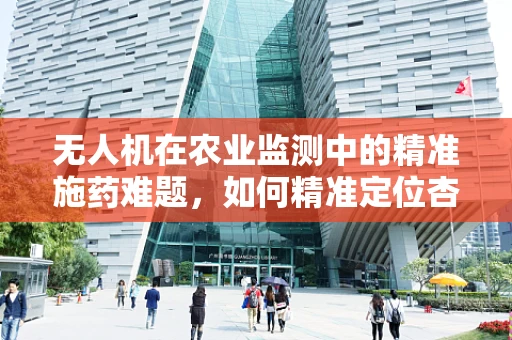 无人机在农业监测中的精准施药难题，如何精准定位杏仁种植区？