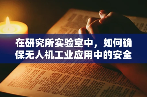 在研究所实验室中，如何确保无人机工业应用中的安全与效率？