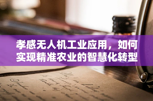 孝感无人机工业应用，如何实现精准农业的智慧化转型？