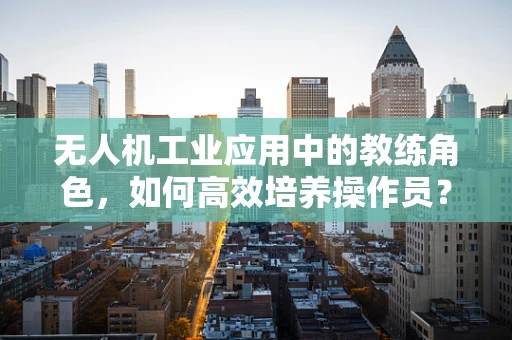 无人机工业应用中的教练角色，如何高效培养操作员？