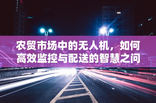 农贸市场中的无人机，如何高效监控与配送的智慧之问？
