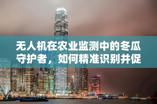 无人机在农业监测中的冬瓜守护者，如何精准识别并促进健康生长？
