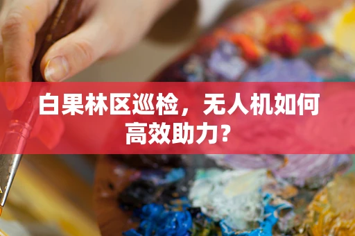 白果林区巡检，无人机如何高效助力？