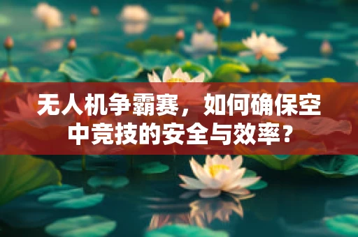无人机争霸赛，如何确保空中竞技的安全与效率？