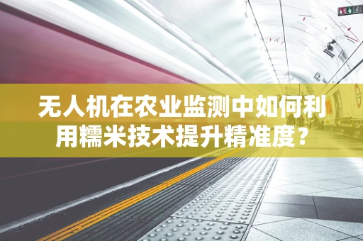 无人机在农业监测中如何利用糯米技术提升精准度？