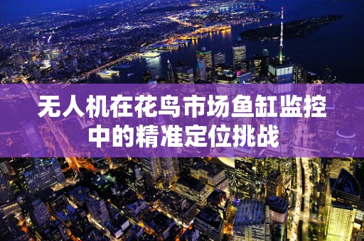 无人机在花鸟市场鱼缸监控中的精准定位挑战