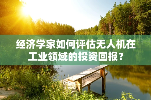 经济学家如何评估无人机在工业领域的投资回报？