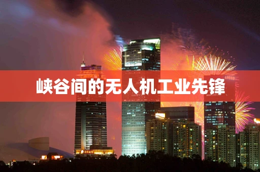 峡谷间的无人机工业先锋