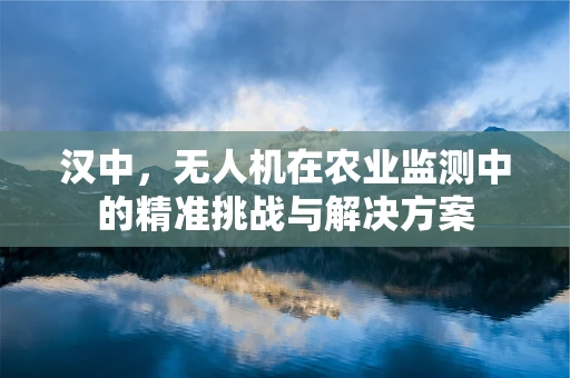 汉中，无人机在农业监测中的精准挑战与解决方案