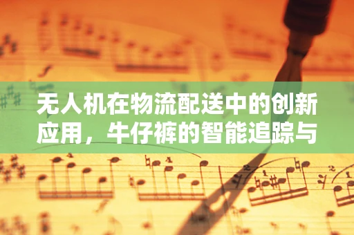 无人机在物流配送中的创新应用，牛仔裤的智能追踪与安全送达