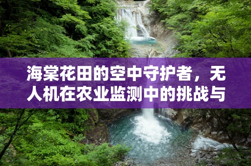 海棠花田的空中守护者，无人机在农业监测中的挑战与解决方案