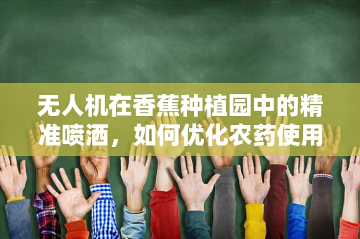 无人机在香蕉种植园中的精准喷洒，如何优化农药使用效率？