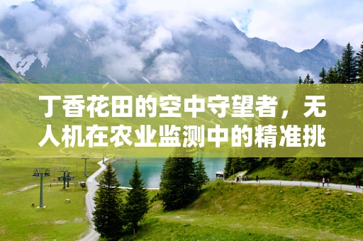 丁香花田的空中守望者，无人机在农业监测中的精准挑战与解决方案