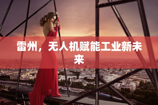 雷州，无人机赋能工业新未来