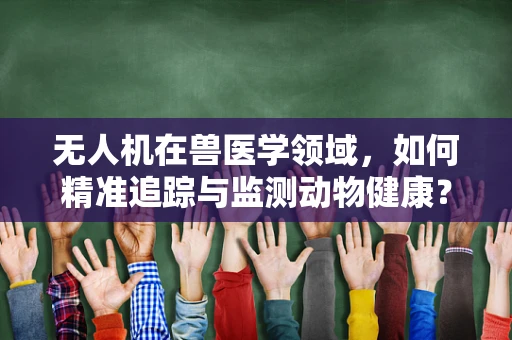 无人机在兽医学领域，如何精准追踪与监测动物健康？