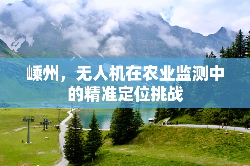 嵊州，无人机在农业监测中的精准定位挑战