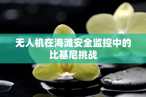 无人机在海滩安全监控中的比基尼挑战
