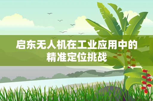 启东无人机在工业应用中的精准定位挑战