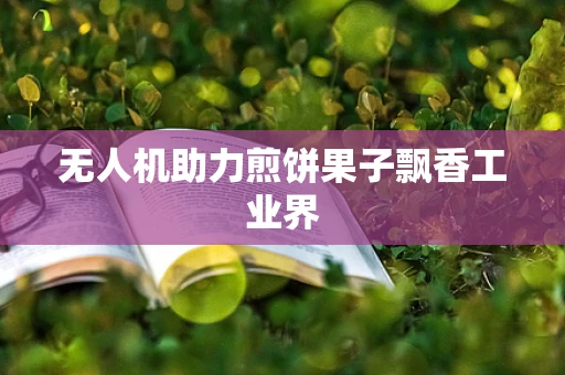 无人机助力煎饼果子飘香工业界