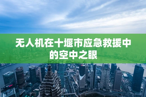 无人机在十堰市应急救援中的空中之眼