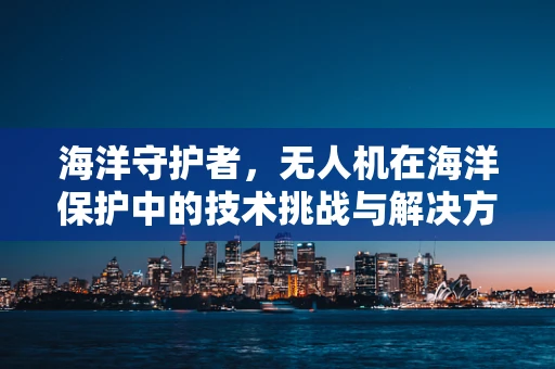 海洋守护者，无人机在海洋保护中的技术挑战与解决方案