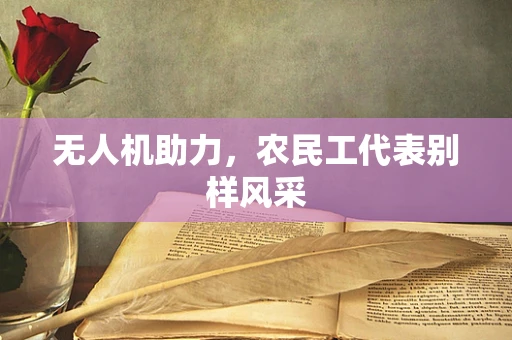 无人机助力，农民工代表别样风采