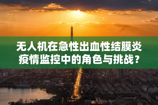 无人机在急性出血性结膜炎疫情监控中的角色与挑战？