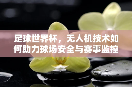 足球世界杯，无人机技术如何助力球场安全与赛事监控？