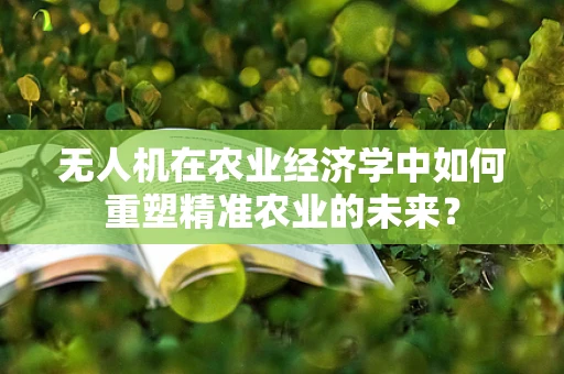 无人机在农业经济学中如何重塑精准农业的未来？