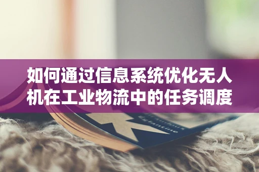 如何通过信息系统优化无人机在工业物流中的任务调度？