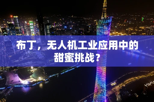 布丁，无人机工业应用中的甜蜜挑战？