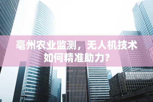 亳州农业监测，无人机技术如何精准助力？