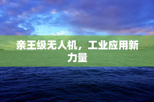 亲王级无人机，工业应用新力量