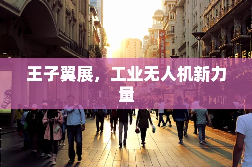 王子翼展，工业无人机新力量