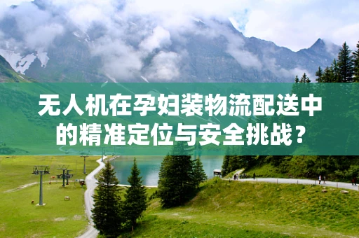 无人机在孕妇装物流配送中的精准定位与安全挑战？