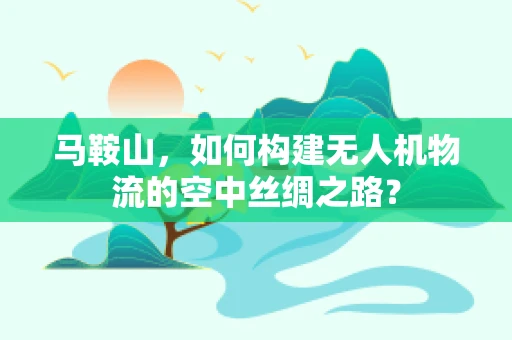 马鞍山，如何构建无人机物流的空中丝绸之路？