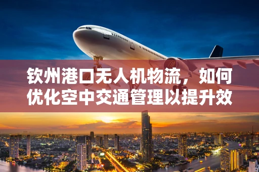 钦州港口无人机物流，如何优化空中交通管理以提升效率？