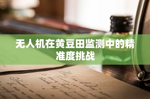 无人机在黄豆田监测中的精准度挑战