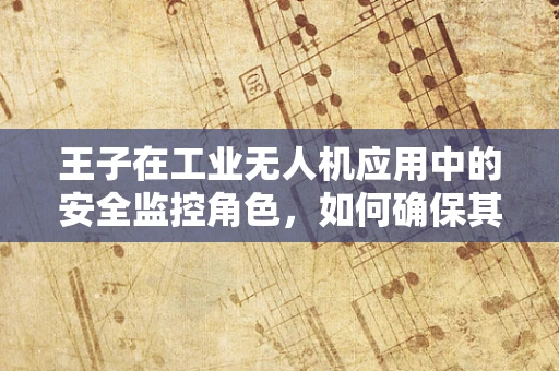王子在工业无人机应用中的安全监控角色，如何确保其高效且无虞？