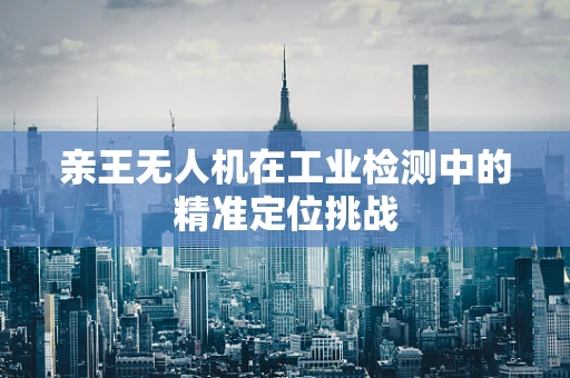 亲王无人机在工业检测中的精准定位挑战