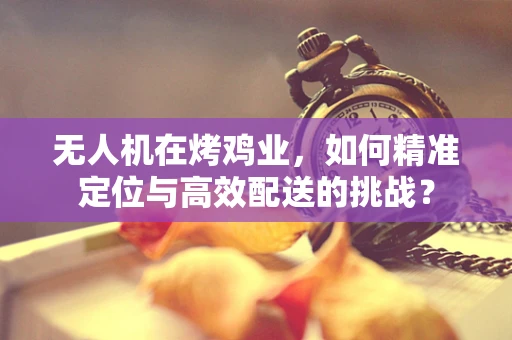 无人机在烤鸡业，如何精准定位与高效配送的挑战？
