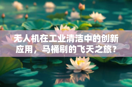 无人机在工业清洁中的创新应用，马桶刷的飞天之旅？