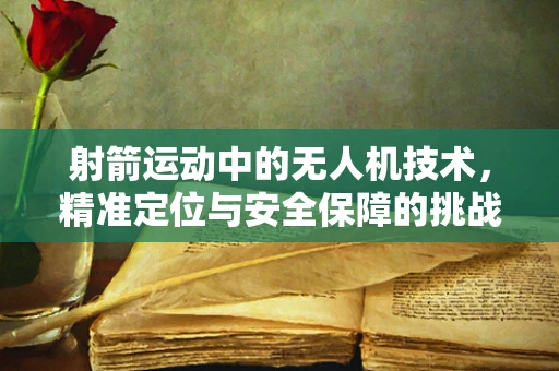 射箭运动中的无人机技术，精准定位与安全保障的挑战