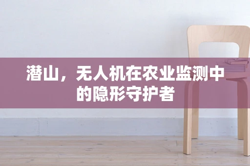 潜山，无人机在农业监测中的隐形守护者