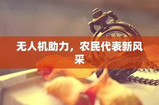 无人机助力，农民代表新风采