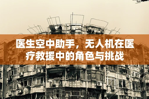 医生空中助手，无人机在医疗救援中的角色与挑战