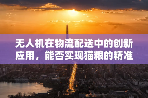 无人机在物流配送中的创新应用，能否实现猫粮的精准投送？