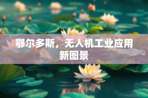 鄂尔多斯，无人机工业应用新图景